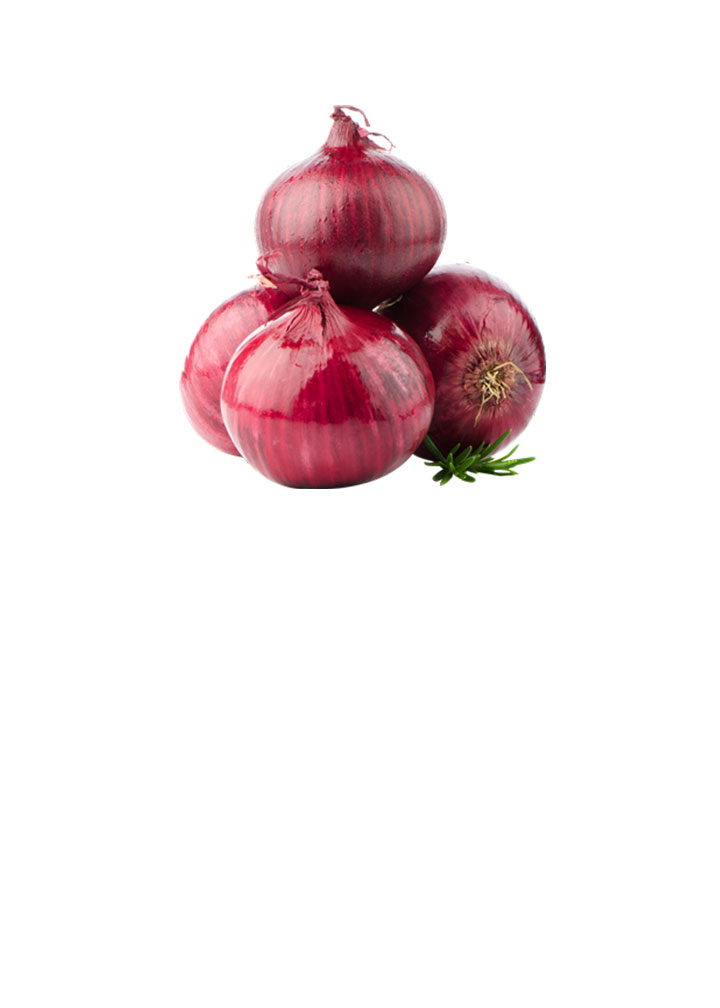 Onion directory 2023