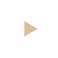 video-button